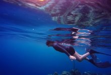 Photo of Что такое школа фридайвинга и её основные направления
