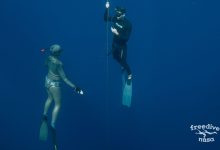 Photo of Школа фридайвинга: основы и возможности для новичков