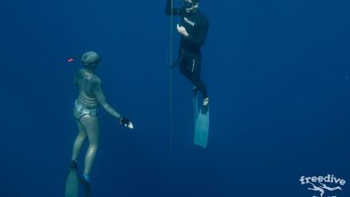 Photo of Основы школы фридайвинга и её значение