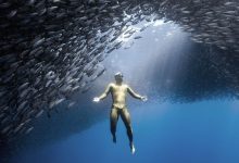 Photo of Школа фридайвинга: новый уровень освоения подводного мира